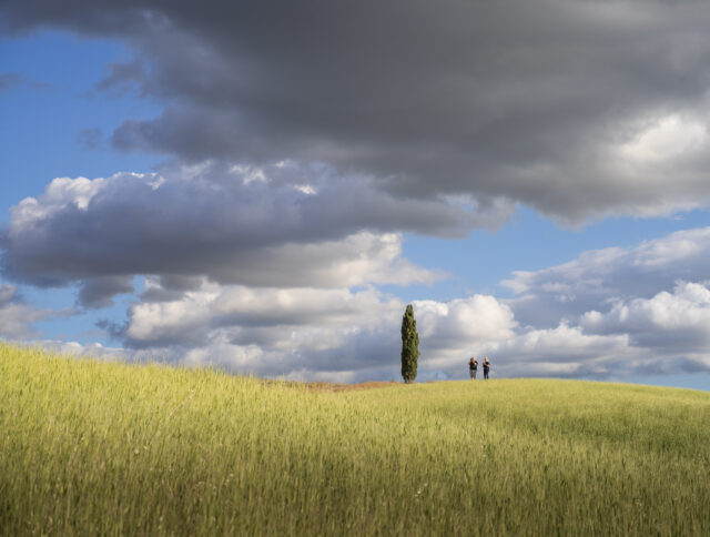 The Val d'Orcia